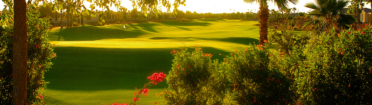 Fairway on a sunny day